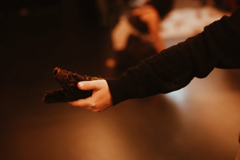 209714e5-369b-4d02-b27f-2b4b3c413c19