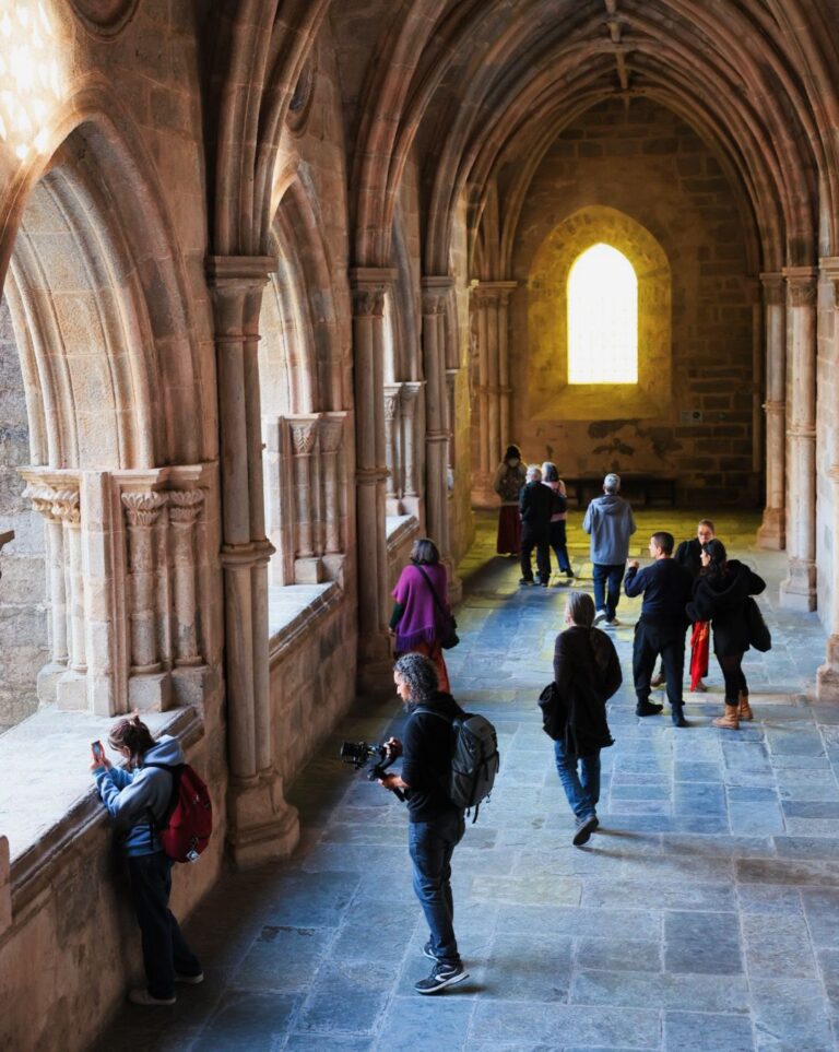 352cc6ac-f6f9-41e5-b118-be85d0593d24