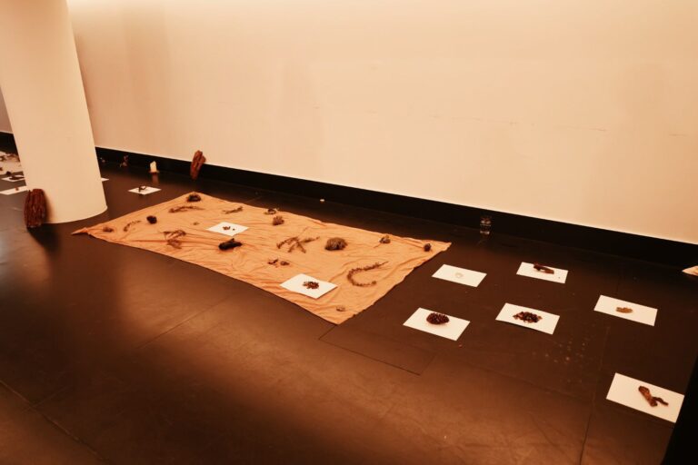 cc3072ee-04c4-4e40-b641-5afc93b7c842