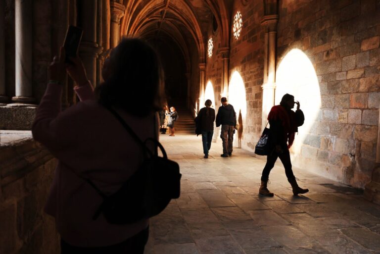 d0eeaab6-a242-42e1-b1dc-d81464dea42c