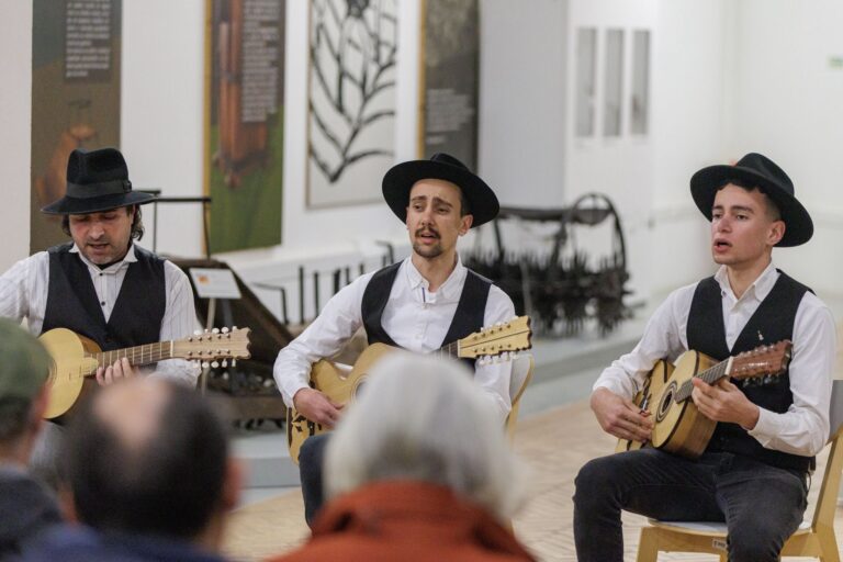 WhatsApp Image 2026-02-14 at 11.14.16 (3)