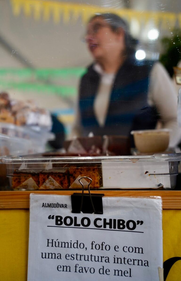 WhatsApp Image 2026-02-15 at 01.56.26 (3)