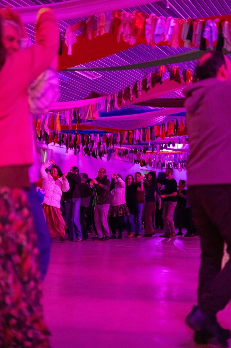 WhatsApp Image 2026-02-15 at 11.45.29