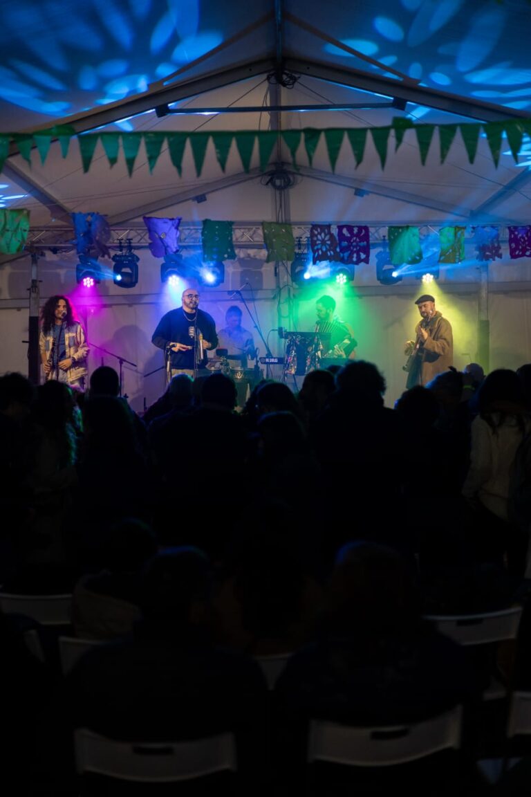 WhatsApp Image 2026-02-15 at 11.46.53