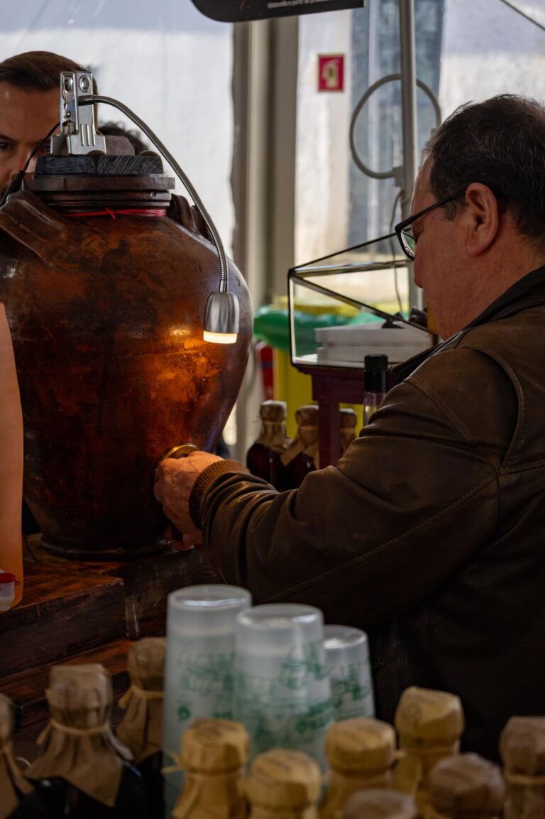 WhatsApp Image 2026-02-17 at 20.20.20